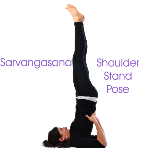 Personal Yoga Trainer At Home in delhi / Yoga Classes At Home / Yoga At Home